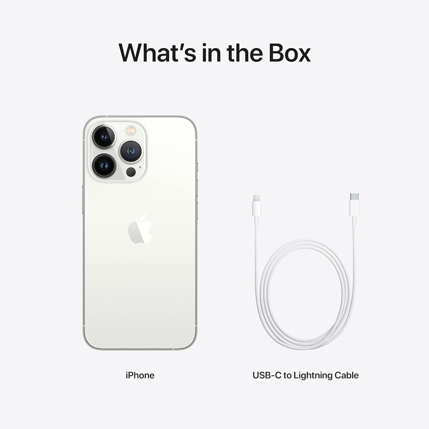 Apple iPhone 13 Pro Max (1TB) - Silver (Renewed)